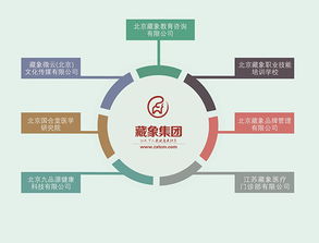 藏象集團 引領網絡技術服務新紀元，賦能企業數字化轉型